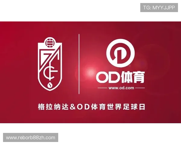 od体育网站优惠多样化，实用技巧分享让你轻松享受更多优惠福利